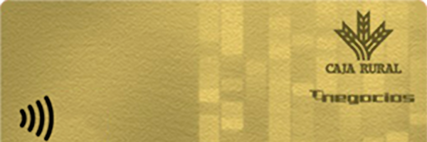 Mastercard t-negozioak txartela Mastercard t-negozioak txartela