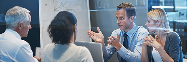 Estructura organizativa: Líneas de responsabilidad, funciones y prevención de conflictos de interés. Estructura organizativa: Líneas de responsabilidad, funciones y prevención de conflictos de interés.