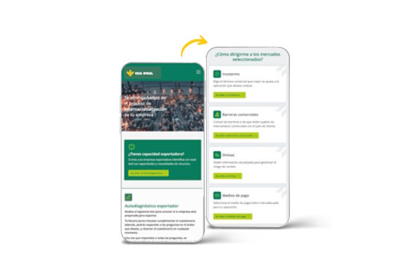Test de Autodiagnóstico del Exportador