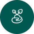 icono mano planta