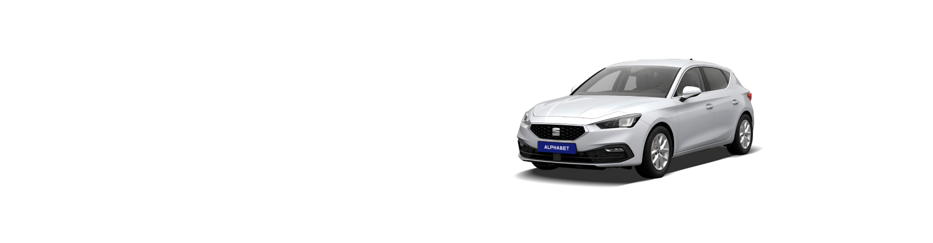 Seat León gris